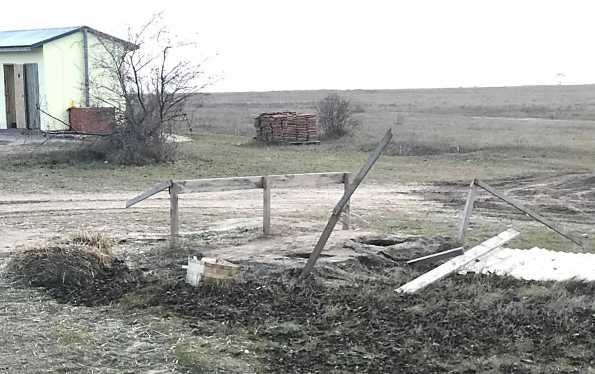 На Николаевщине неизвестные разгромили ферму «Устрицы Скифии» 1
