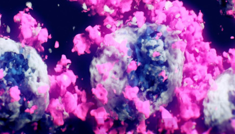 Хотите посмотреть? Ученые впервые сделали 3D-снимок коронавируса SARS-CoV-2 (ВИДЕО) 1
