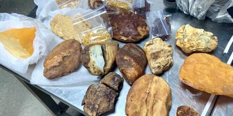 В Борисполе задержали киевлянина с грузом редкого янтаря в самородках и изделиях – вез “сувениры” в Дубаи (ФОТО)