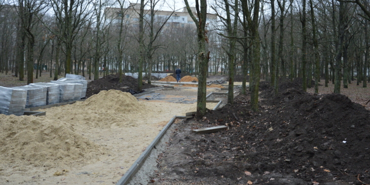 «Любая красота требует жертв»: в Николаеве депутаты проинспектировали вырубку дубов в сквере “Николаевский” (ФОТО и ВИДЕО)