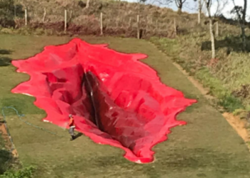 В Бразилии установили 33-метровую художественную инсталляцию в форме вагины