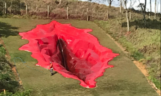 В Бразилии установили 33-метровую художественную инсталляцию в форме вагины