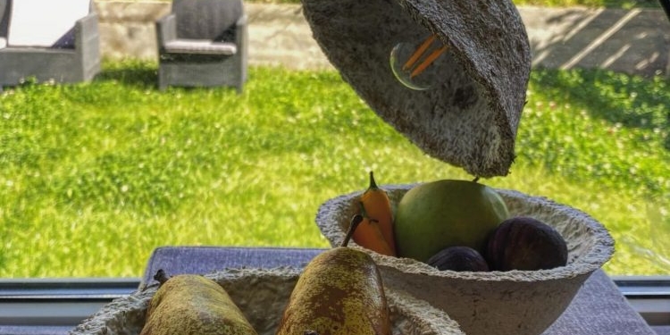 Из грибов и конопли. Украинцы предлагают миру новую эко-посуду (ФОТО)