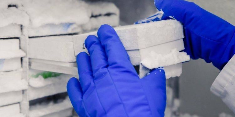 Амосова: в Украину можно без проблем завезти до 1 тыс. доз “контрабандной” вакцины Pfizer