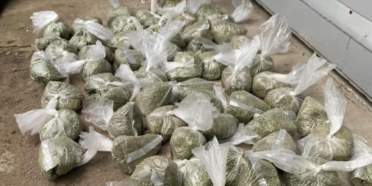 В Житомире задержали разведчиков за организацию наркоторговли (ФОТО)