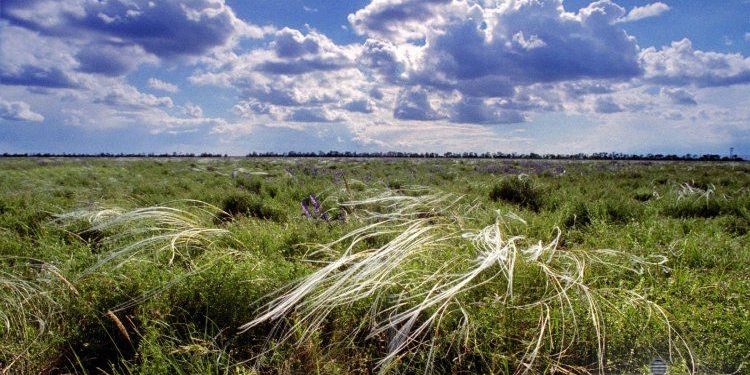 Нацпамяти выпустило ролик об истори южной степной Украины (ВИДЕО)