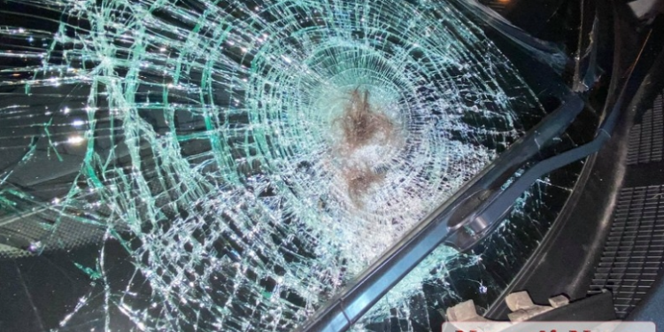 В центре Николаева Nissan сбил пешехода