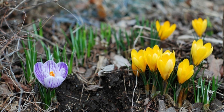 Сегодняшнее тепло не задержится: в Николаевском гидрометцентре дали прогноз на выходные