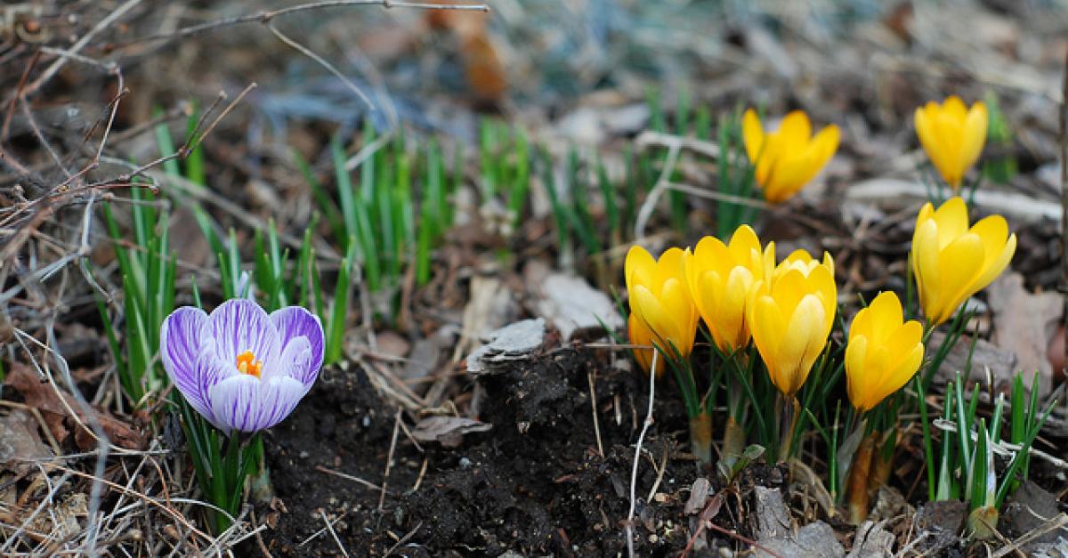 Сегодняшнее тепло не задержится: в Николаевском гидрометцентре дали прогноз на выходные