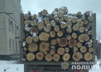 Говорит, вез со склада в Николаевской области: на Херсонщине задержали грузовик с 12 кубометрами акации (ФОТО)