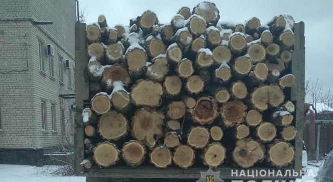 Говорит, вез со склада в Николаевской области: на Херсонщине задержали грузовик с 12 кубометрами акации (ФОТО)