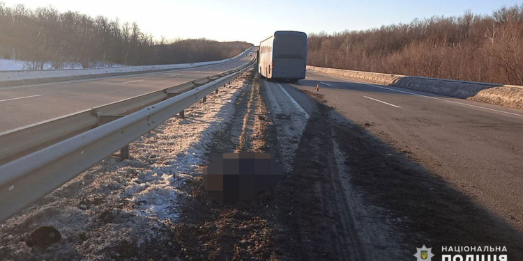На Николаевщине рейсовый автобус на трассе насмерть сбил пешехода (ФОТО)