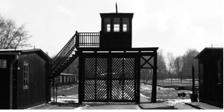 Нет срока давности. Экс-секретаршу коменданта концлагеря Штуттгоф обвинили в соучастии в убийстве 10 тысяч человек