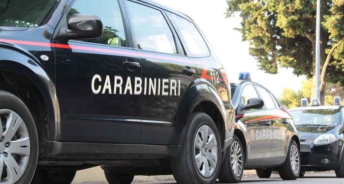 В Европе задержали 45 воров-выходцев из Грузии