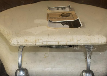 На аукционе продали украденное сиденье с унитаза Гитлера