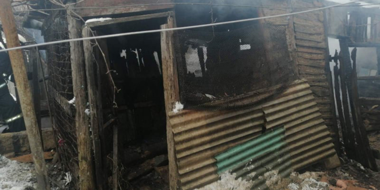 В Николаеве тушили хозпостройку – спасли 2 дома (ФОТО)