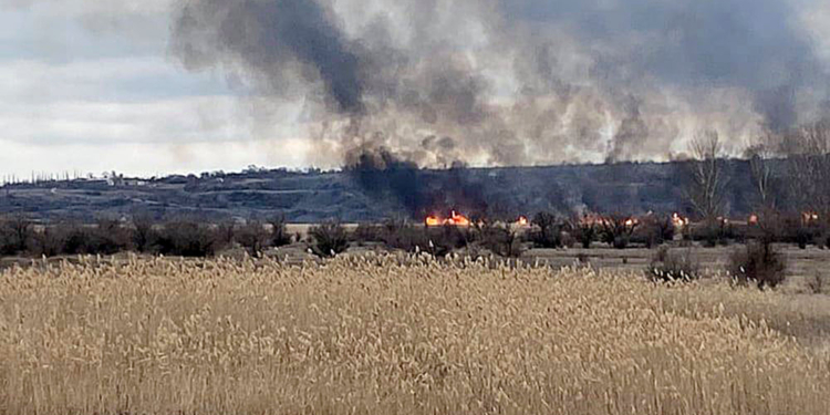 У Новопетровки на Николаевщине уже несколько часов горит 3 га камыша: спасатели раз за разом отбивают огонь от жилого сектора и леса (ФОТО)