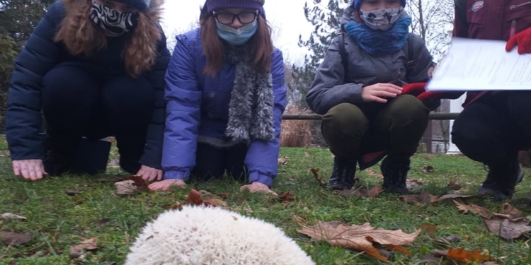 В Николаевском зоопарке отметили День ежика (ФОТО)
