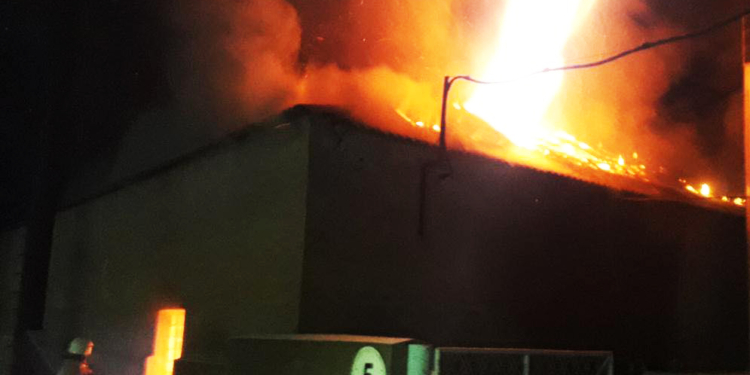 В Новой Одессе тушили цех по переработке подсолнечника – сгорело 8 тонн жмыха и линия по переработке (ФОТО)