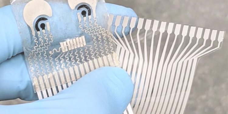 Сахар, алкоголь, антибиотики. Ученые создали пластырь, который мониторит состояние организма (ФОТО)