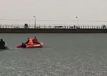 Девять часов в Мариуполе спасали собак, оказавшихся в море на льдине (ВИДЕО)