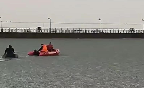 Девять часов в Мариуполе спасали собак, оказавшихся в море на льдине (ВИДЕО)