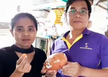 Таец во время обеда нашел в улитке дорогую жемчужину