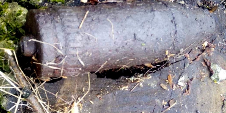 Лежал и пока никого не трогал: обезврежен артснаряд, найденный в лесополосе в Снигиревском районе (ФОТО)