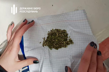 На Николаевщине будут судить экс-сотрудника ГСЧС, который дома хранил 1 кг конопли (ФОТО) 13