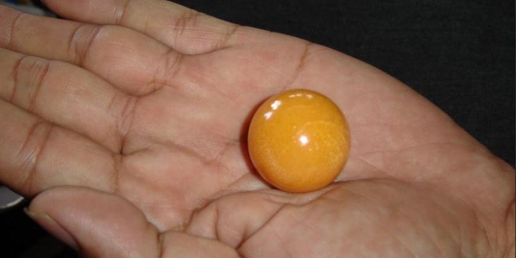 На пляже в Таиланде нашли редкую оранжевую жемчужину (ФОТО)