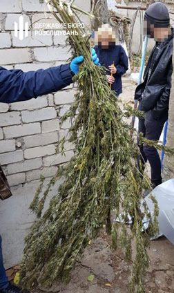 На Николаевщине будут судить экс-сотрудника ГСЧС, который дома хранил 1 кг конопли (ФОТО) 15