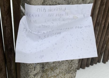 Написанное от руки объявление на столбе “раскрутило” YouTube-канал девочки из села на Львовщине (ВИДЕО)