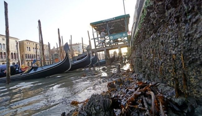 В Венеции после декабрьского наводнения пересохли каналы: что произошло (ВИДЕО)