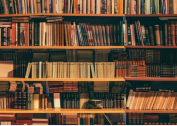 В Британии начали скупать больше книг ради красивого фона в Zoom