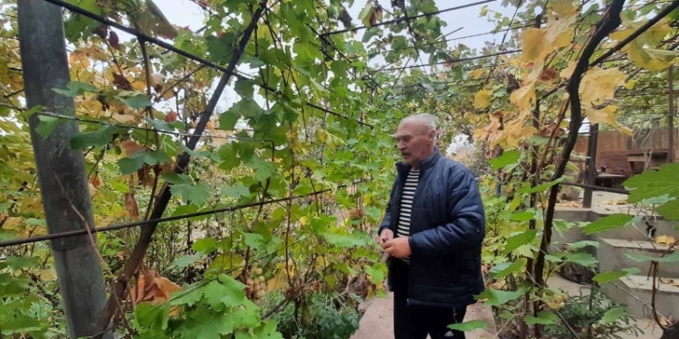 И на свалке могут яблони цвести. Это доказал одесский любитель-селекционер (ФОТО)