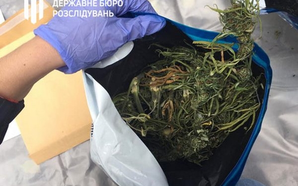 На Николаевщине будут судить экс-сотрудника ГСЧС, который дома хранил 1 кг конопли (ФОТО)