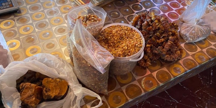 СБУ остановила крупную контрабанду янтаря – 1,3 тонны камней и 170 кг изделий (ФОТО, ВИДЕО)