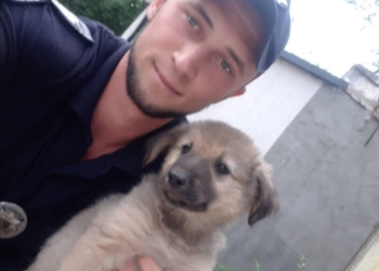 На Николаевщине сотрудник полиции охраны с другом задержали мошенника, который убедил пенсионерку взять денежных кредитов на 88 тыс.грн.