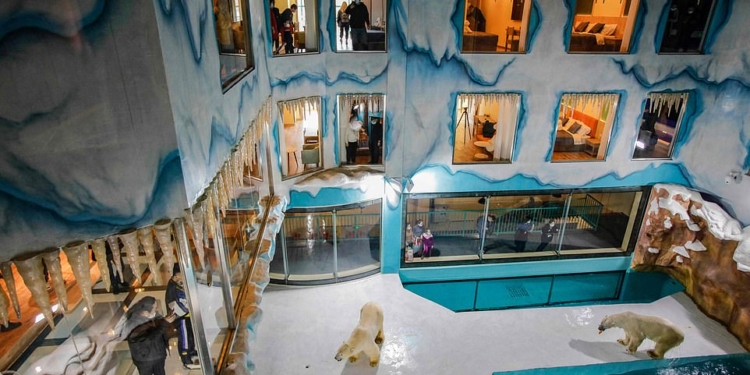 В Китае заработал отель, где круглосуточно постояльцы могут смотреть на белых медведей. Зоозащитники возмущены (ФОТО)