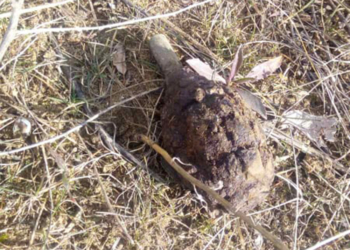 На окраине Николаева нашли старую гранату Ф1. И обезвредили (ФОТО)