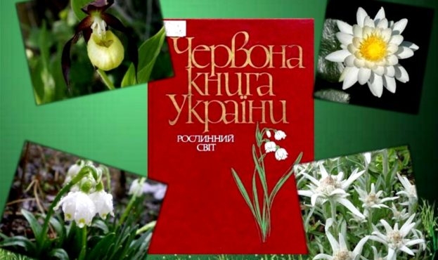 +52 растения: в Украине обновили Красную книгу
