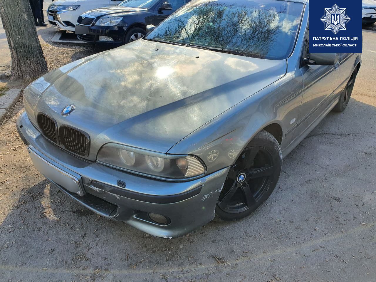 В Николаеве патрульные выявили очередного водителя с поддельными документами (ФОТО)