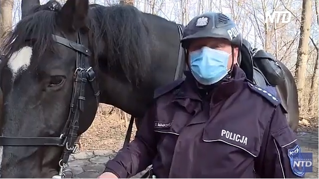 Новый закон должен подарить служебным животным Польши счастливую старость (ВИДЕО)