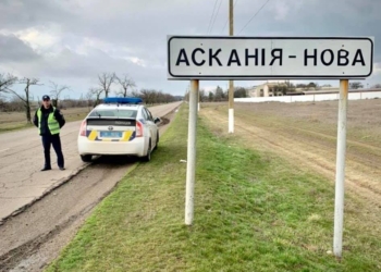 В Херсонской области погиб 61 журавль. Полиция открыла дело