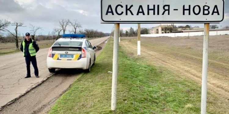 В Херсонской области погиб 61 журавль. Полиция открыла дело