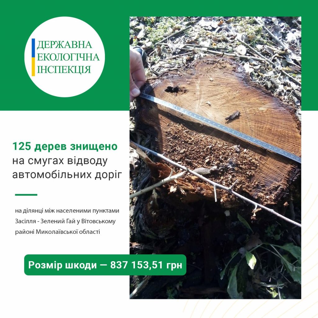 На Николаевщине уничтожено 125 деревьев между Засельем и Зеленым Гаем 1