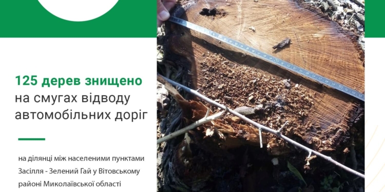 На Николаевщине уничтожено 125 деревьев между Засельем и Зеленым Гаем