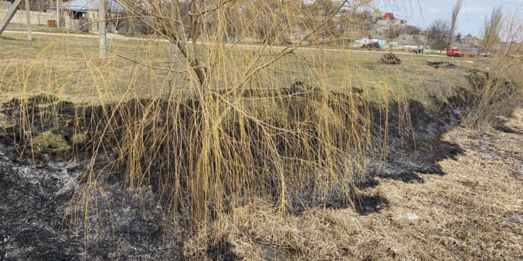 Неосторожное обращение с огнем? На Николаевщине снова горели трава и камыши