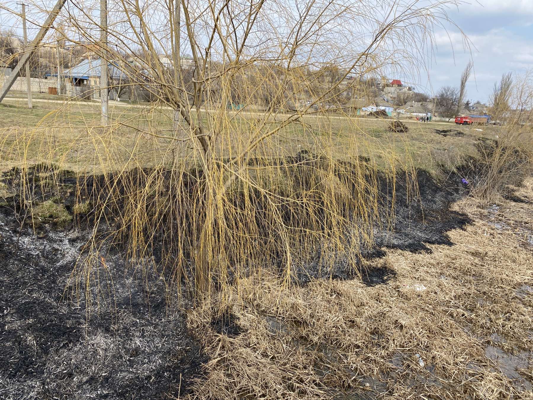 Неосторожное обращение с огнем? На Николаевщине снова горели трава и камыши