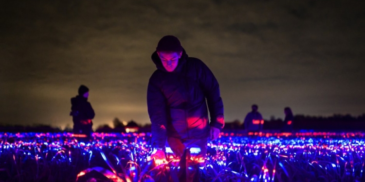 Красиво и полезно: нидерландский художник создал световую инсталляцию для овощей (ФОТО)